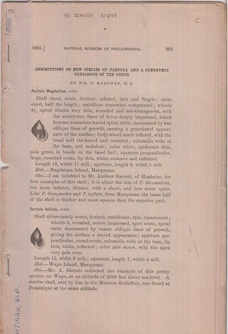 Descriptions of New Species of Partula and a Synonymic Catalogue of the Genus  by Hartman, Wm. D.