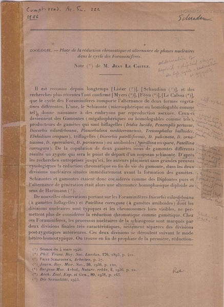 Place de la Reduction chromatique et alternance de phases nucleaires dans le cycle de Foraminiferes  by Calvez, Jean Le