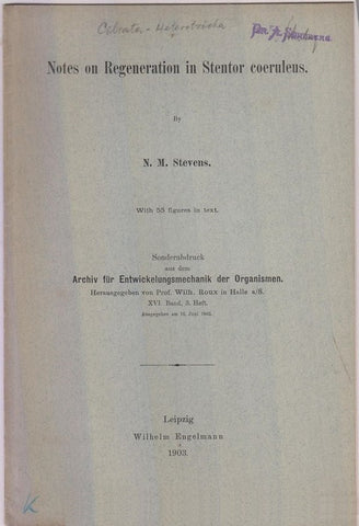 Notes on Regeneration in Stentor coeruleus  by Stevens, N.M.