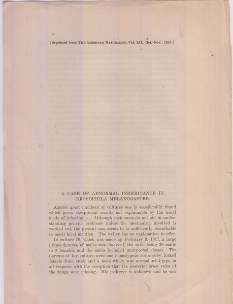 A Case of Abnormal Inheritance in Drosophila Melanogaster  by Lancefield, D.E.