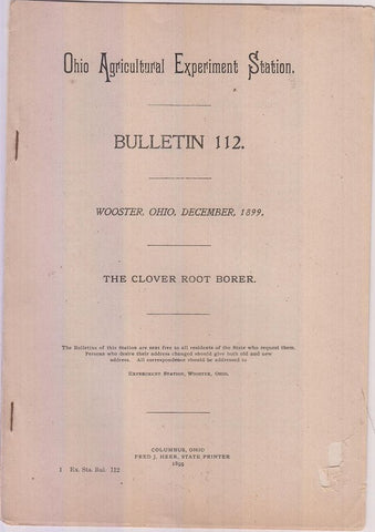 The Clover Root Borer  by Webster, F.M.