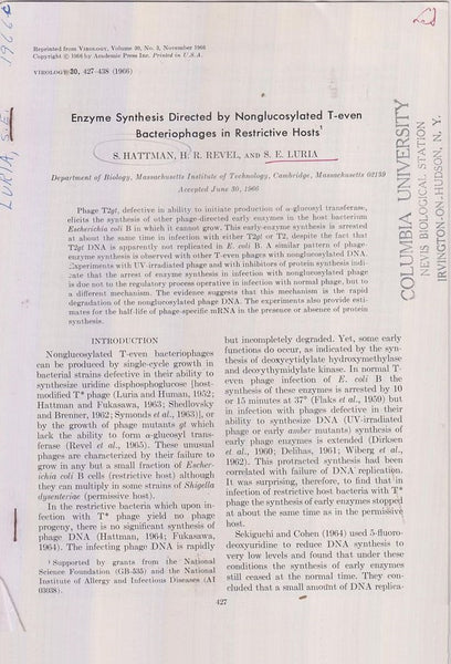 Enzyme Synthesis Directed by Nonglucosylated T-even Bacteriophages in Restrictive Hosts  by Hattman, S., H.R. Revel, S.E. Luria