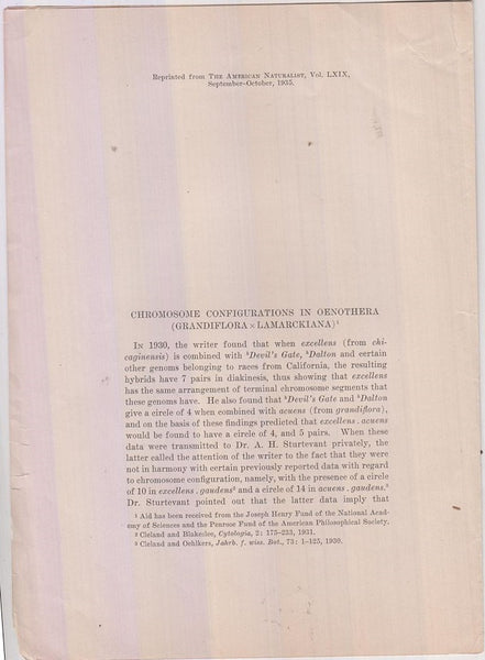 Chromosome Configuration in Oenothera (Grandiflora x Lamarckiana)  by Cleland, Ralph E.