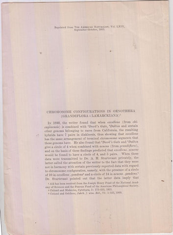 Chromosome Configuration in Oenothera (Grandiflora x Lamarckiana)  by Cleland, Ralph E.