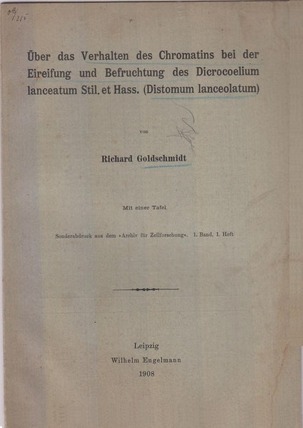 Uber das Verhalten des Chromatins bei der Eireifung und Befruchtung des Dicrocoelium lanceatum Stil. Et Has. (Distomum lanceolatum)  by Goldschmidt, Richard