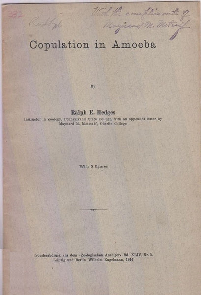 Copulation in Amoeba  by Hedges, Ralph E.