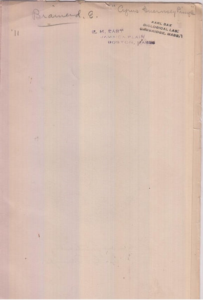 Cyrus Guernsey Pringle  by Brainerd, Ezra