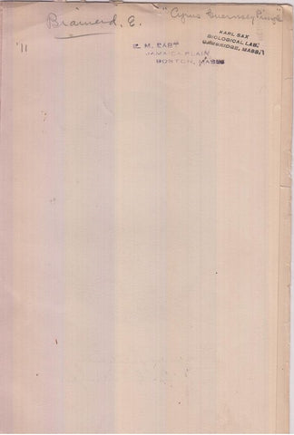 Cyrus Guernsey Pringle  by Brainerd, Ezra