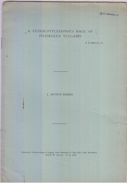 A Tetracotyledonous Race of Phaseolus Vulgaris  by Harris, J. Arthur