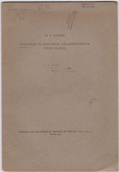 Cleavage in Didymium Melanospermum (pers) Macbr.