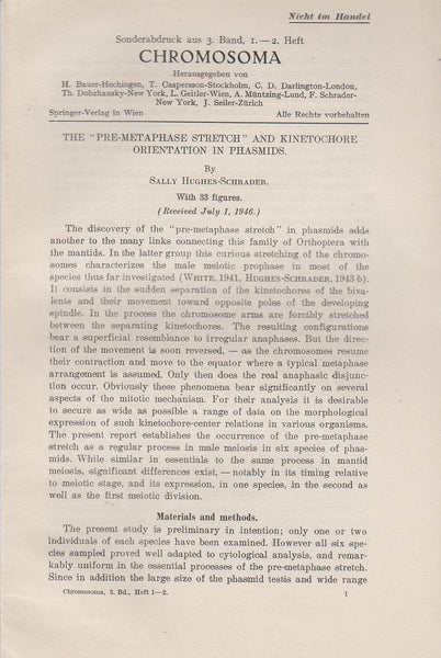 The "Pre-Metaphase Stretch" and Kinetochore Orientation in Phasmids