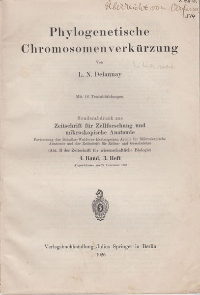 Phylogenetische Chromosomenverkurzung