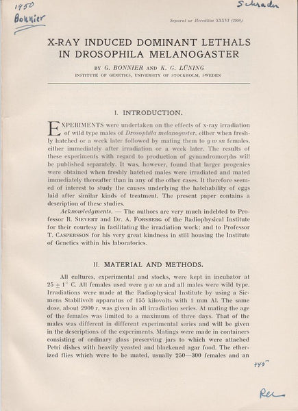 X-Ray Induced Dominant Lethals in Drosophila Melanogaster
