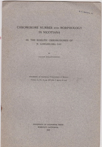 Chromosome Number and Morphology in Nicotiana. III. The Somatic Chromosomes of N. Longiflora Cav.