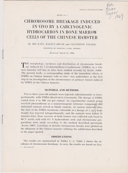 Chromosome Breakage Induced In Vivo by a Carcinogenic Hydrocarbon in Bone Marrow Cells fo the Chinese Hamster