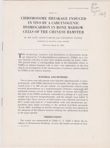 Chromosome Breakage Induced In Vivo by a Carcinogenic Hydrocarbon in Bone Marrow Cells fo the Chinese Hamster