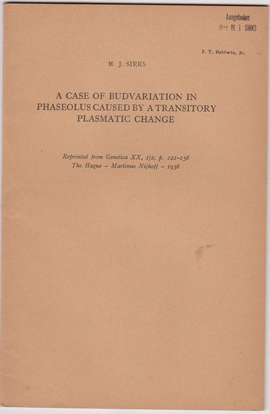 A case of budvariation in Phaseolus caused by a transitory plasmatic change
