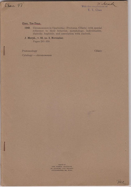 Chromosomes in Opalinidae (Protozoa, Ciliata) with special reference to their behavior, morphology, individuality, diploidy, haploidy, and assocation with nucleoli