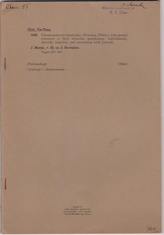 Chromosomes in Opalinidae (Protozoa, Ciliata) with special reference to their behavior, morphology, individuality, diploidy, haploidy, and assocation with nucleoli