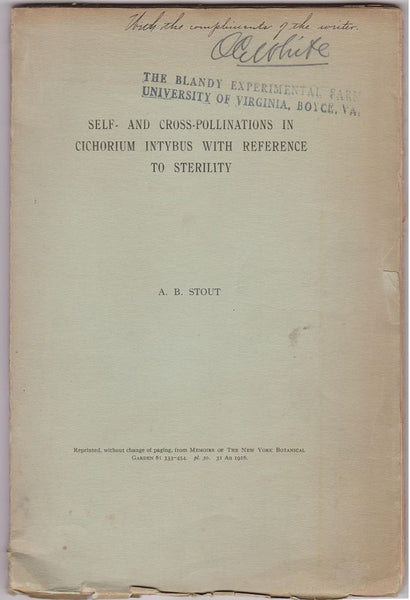 Self- and Cross-Pollinations in Cichorium Intybus with Reference to Sterility