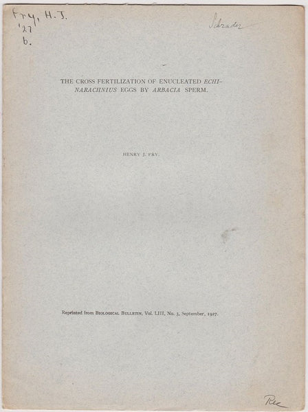 The Cross Fertilization of Enucleated Echinarachnius Eggs by Arbacia Sperm