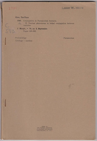 Conjugation in Paramecium bursaria. II. Nuclear phenomena in lethal conjugation between varieties