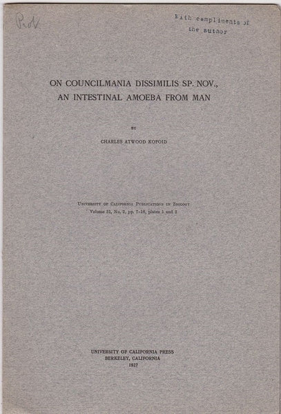 On councilmania dissimilis sp. Nov., an intestinal amoeba from man