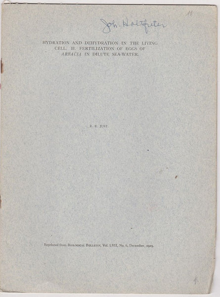 Hydration and Dehydration in the Living Cell.  II.  Fertilization of Eggs of Arbacia in Dilute Sea-water