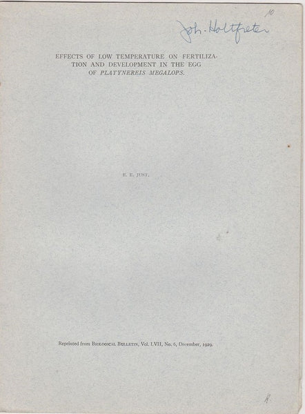 Effects of Low Temperature on Fertilization and Development in the Egg of Platynereis megalops
