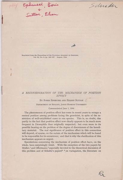 A reconsideration of the mechanism of position effect