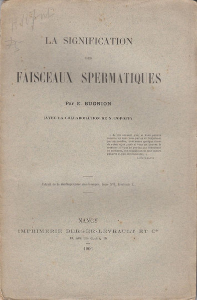 La Signification des Faisceaux Spermatiques