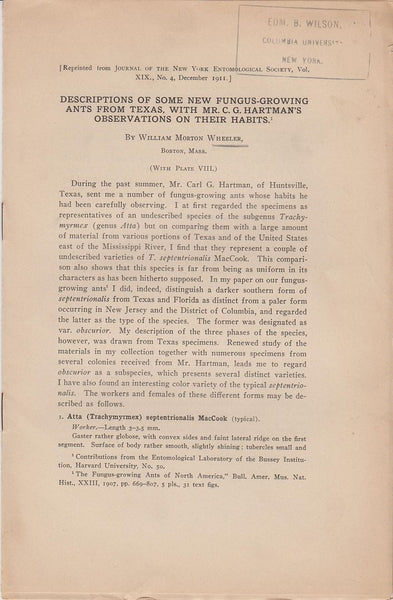 Descriptions of Some New Fungus-Growing Ants from Texas, with Mr. C.G. Hartman's Observations on their Habits