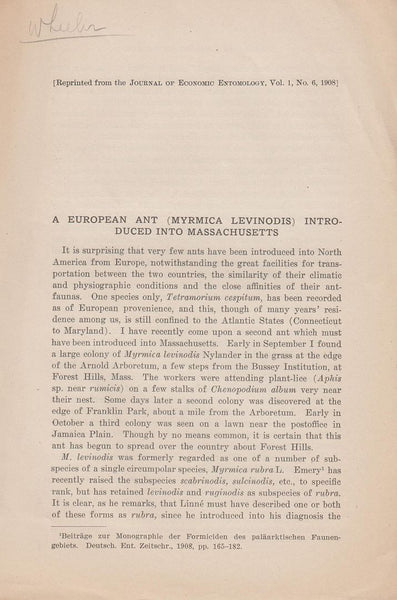 A European Ant (Myrmica Levinodis) Introduced into Massachusetts