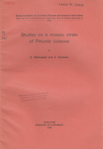 Studies on a Mosaic Strain of Petunia Violacea