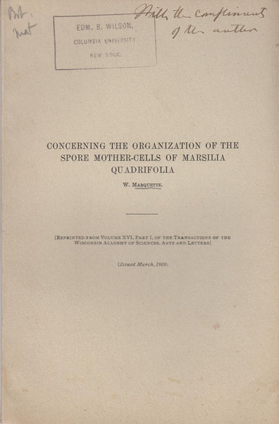 Concerning the Organization of the Spore Mother-Cells of Marsilia Quadrifolia