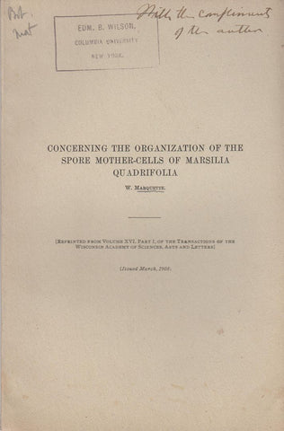 Concerning the Organization of the Spore Mother-Cells of Marsilia Quadrifolia