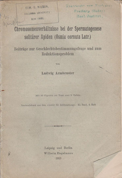 Chromosomenverhaltnisse bei der Spermatogenese soliarer Apiden (Osmia cornuta Latr.): Beitrage zur Geschlechtsbestimmungsfrage und zum Reduktionsproblem