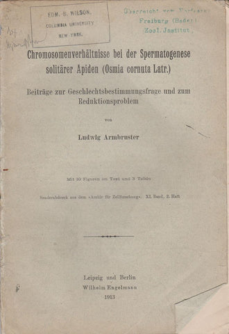 Chromosomenverhaltnisse bei der Spermatogenese soliarer Apiden (Osmia cornuta Latr.): Beitrage zur Geschlechtsbestimmungsfrage und zum Reduktionsproblem