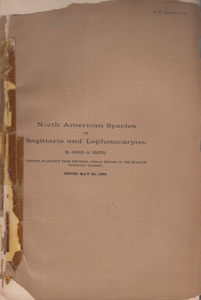 North American Species or Sagittaria and Lophotocarpus