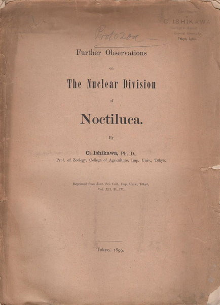 Further Observations on the Nuclear Division of Noctiluca