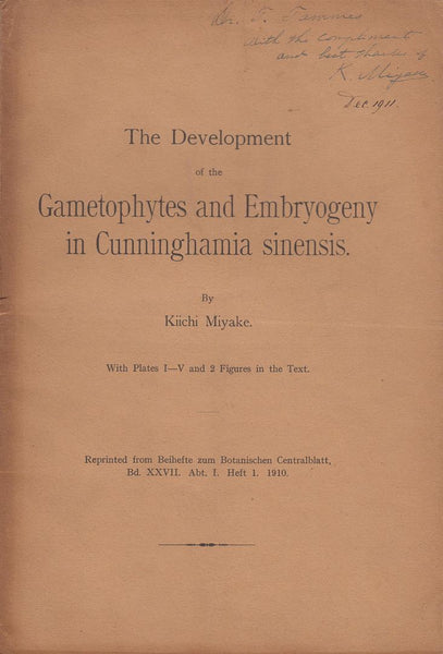 The Development of the Gametophytes and Embryologeny in Cunninghamia sinensis
