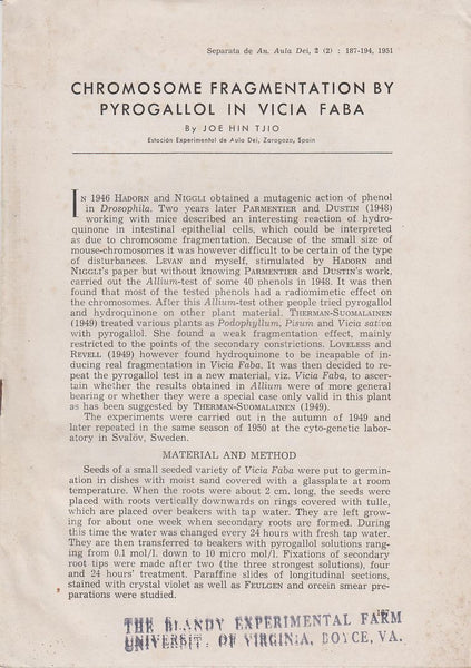 Chromosome Fragmentation by Pyrogallol in Vicia Faba