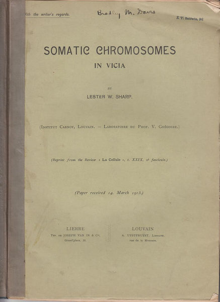 Somatic Chromosomes in Vicia