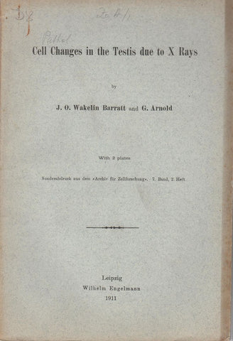 Cell Changes in the Testis due to X Rays