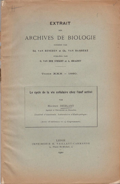 Le Cycle de la vie Cellulaire chez l'Oeuf Active