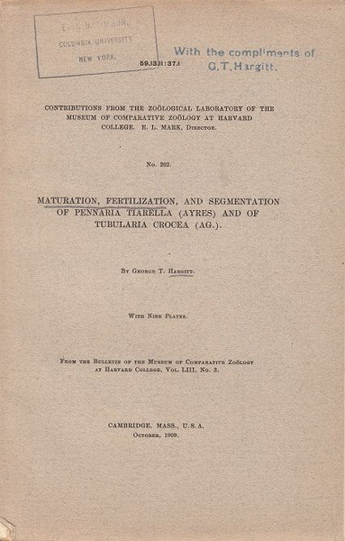Maturation, Fertilization, and Segmentation of Pennaria Tiarella (Ayres) and of Tubularia Crocea (Ag.)