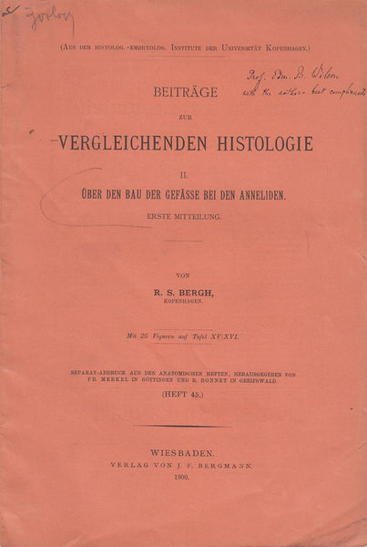 Beitrage zur Vergleichenden Histologie II. Uber den bau der Gefasse bei den Anneliden