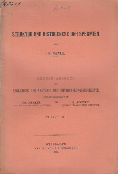 Struktur und Histogenese der Spermien