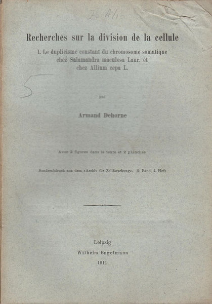 Recherches sur la divison de la cellule I. Le Duplicisme Constant du Chromosome Somatique chez Salamandra Maculosa Laur. et chez Allium Cepa L.
