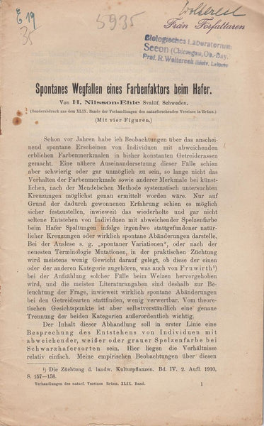 Spontanes Wegfallen eines Farbenfaktors beim Hafer